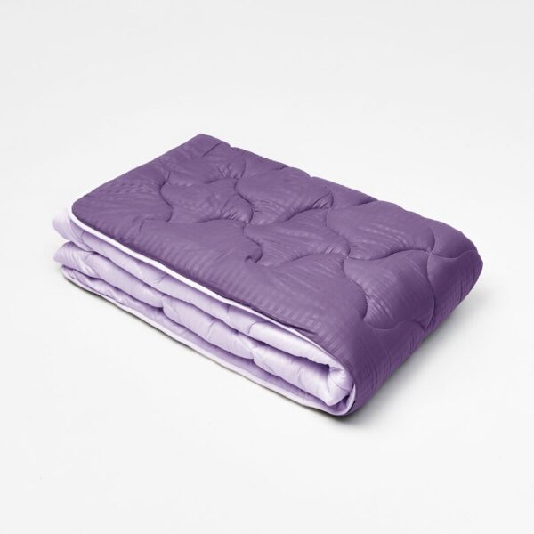 Ковдра мікрофібра дует слива/бузок