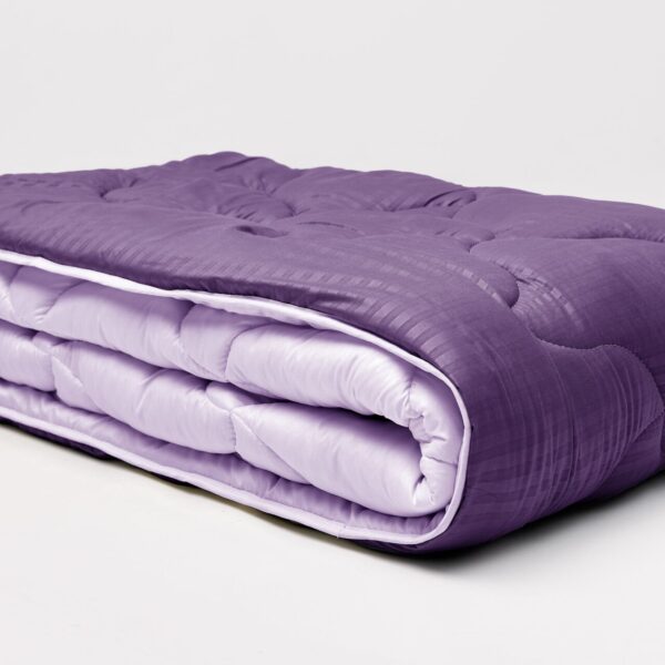 Ковдра мікрофібра дует слива/бузок