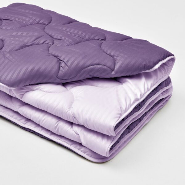 Ковдра мікрофібра дует слива/бузок